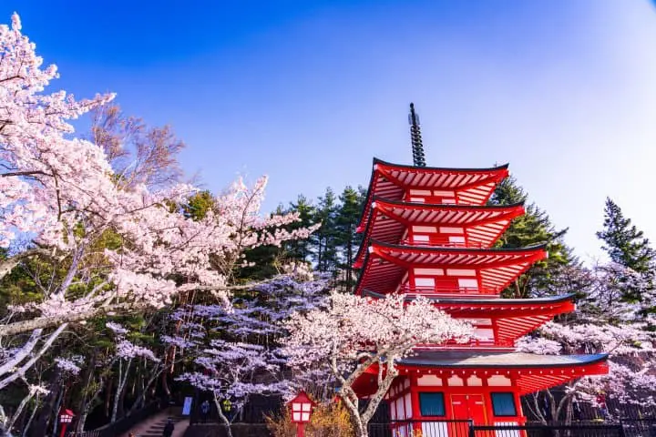 Spring in Japan 2023: Traveling, Clothing, and Weather in March-May