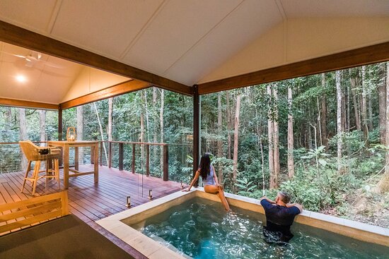 Narrows Escape Rainforest Retreat Hinterland Retreat