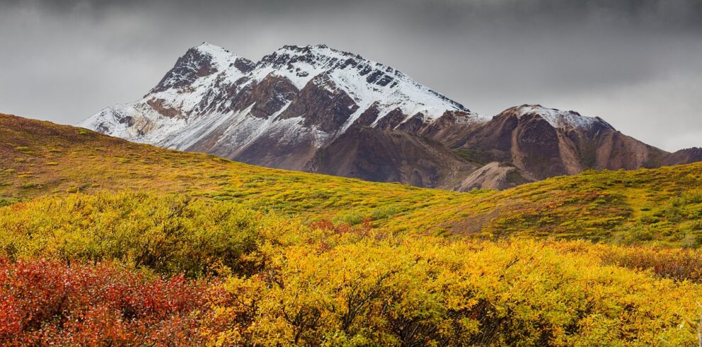 autumn, mountain, meadow