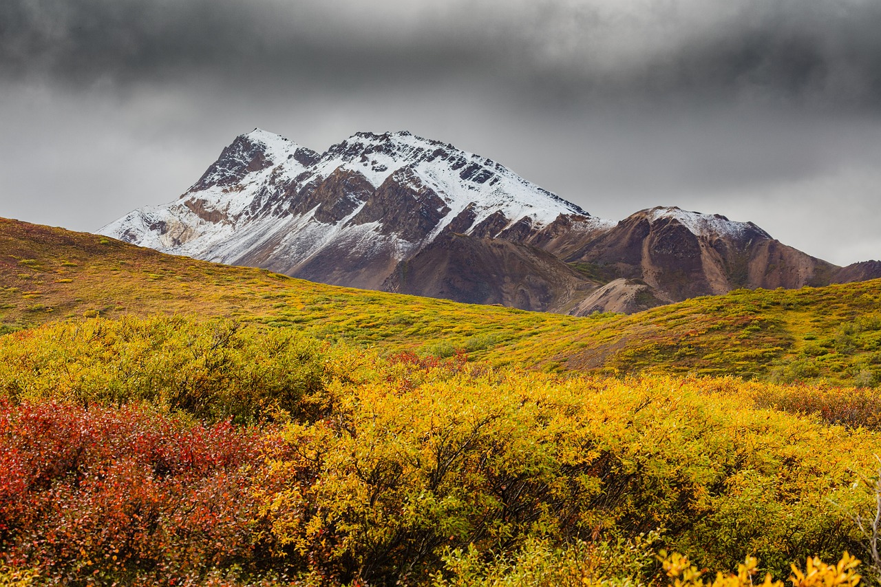 autumn, mountain, meadow