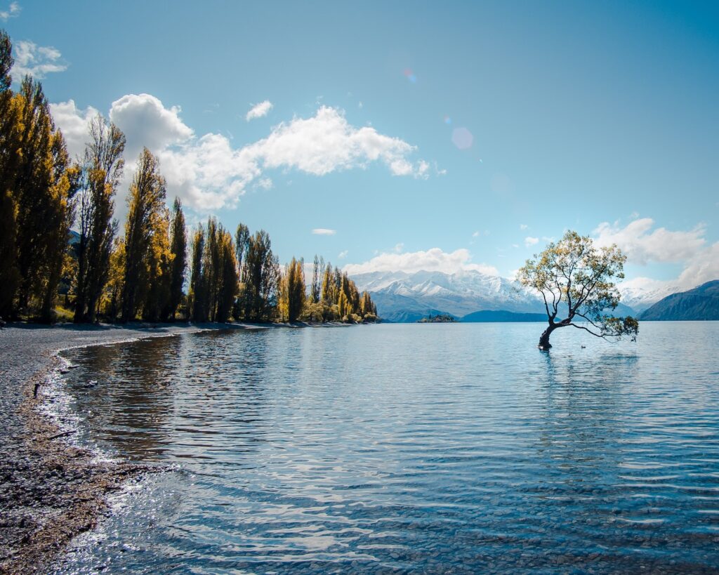 wanaka body of water near field of trees