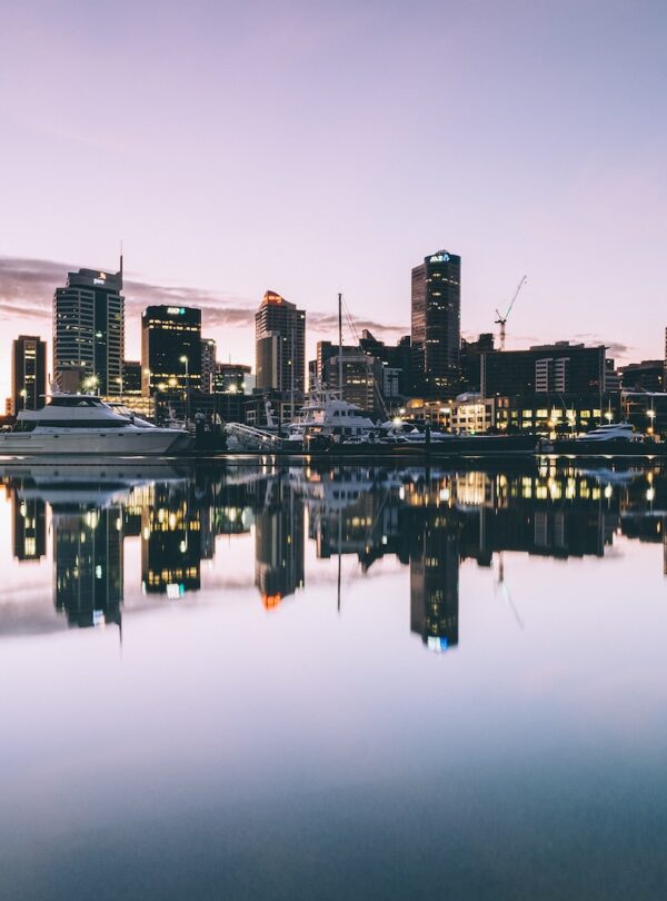 new zealand cityscape photo during daytime