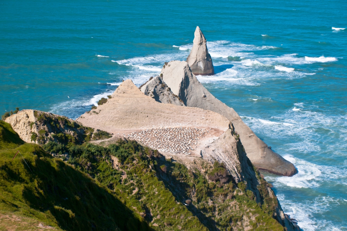 cape kidnappers