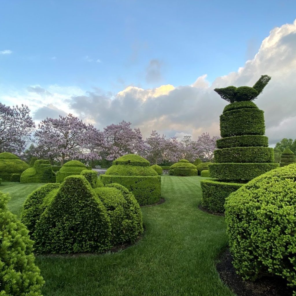 Longwood Gardens topiary garden