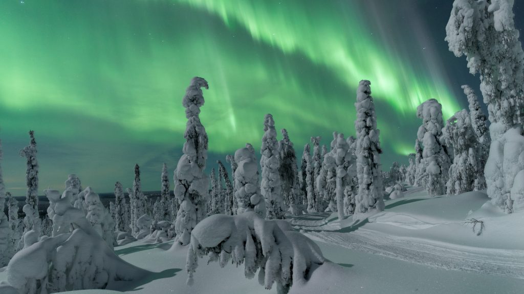 northern lights lapland