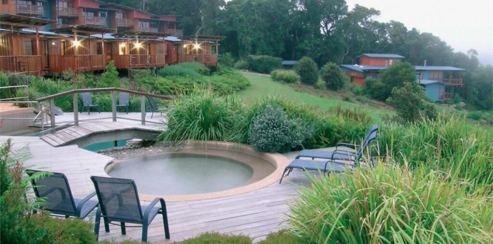 OReillys Rainforest Retreat Hinterland Hideaway