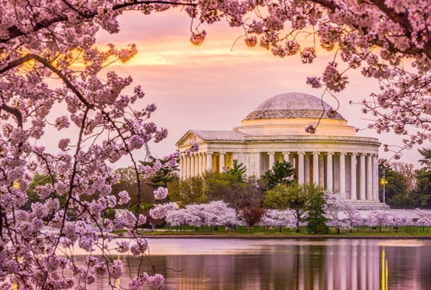 destinations spring washington dc