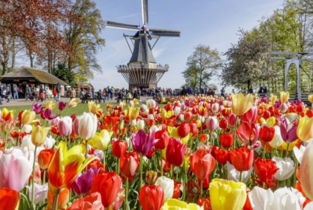 flower farms Keukenhof Gardens Lisse Netherlands